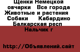 Щенки Немецкой овчарки - Все города Животные и растения » Собаки   . Кабардино-Балкарская респ.,Нальчик г.